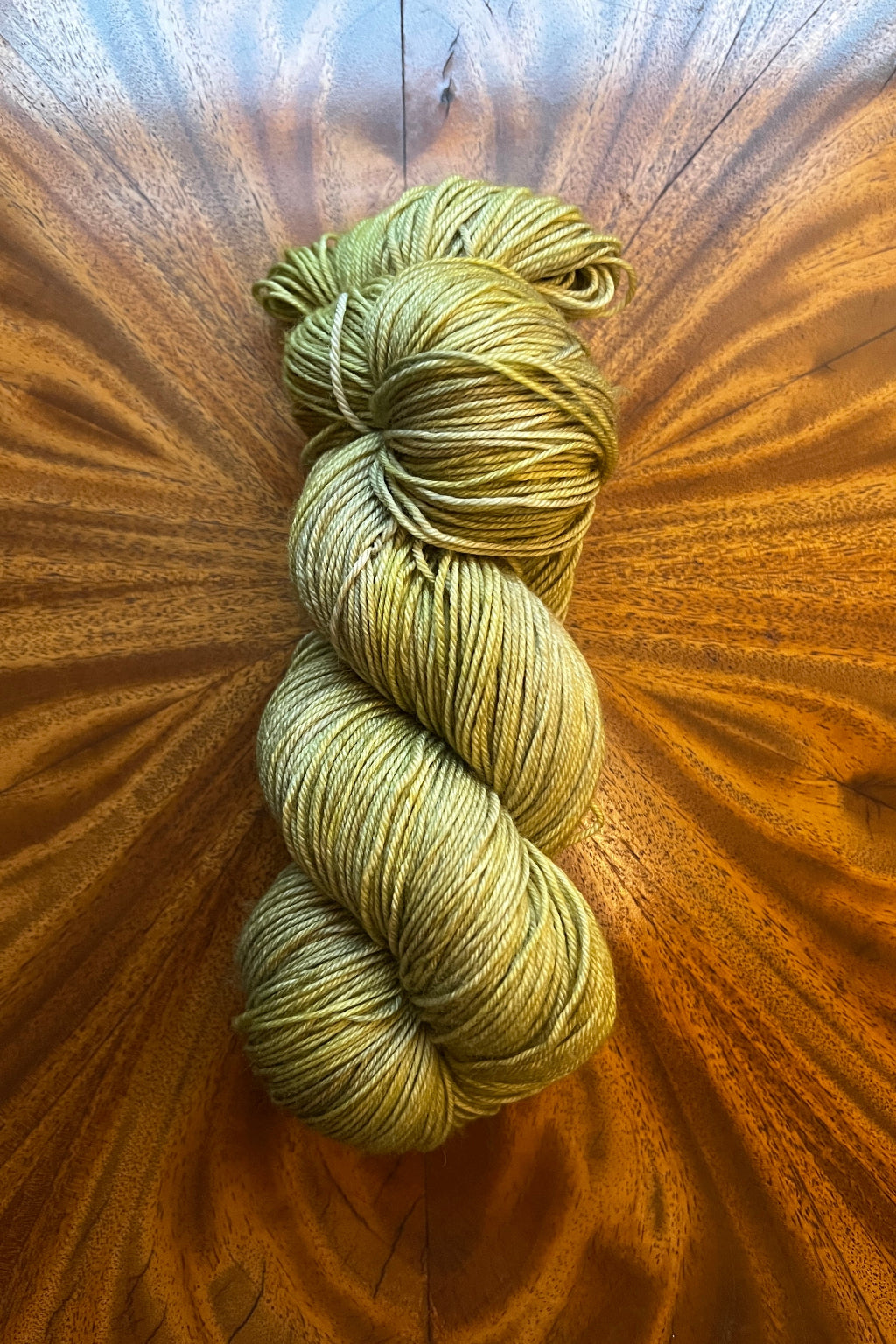 Hand dyed in minnepolis 100g hand dyed Lichen merino yarn, coordinates with Masterpiece collection.